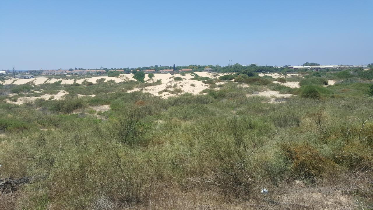 Neot Golf Caesarea Garden Apartment Eksteriør bilde